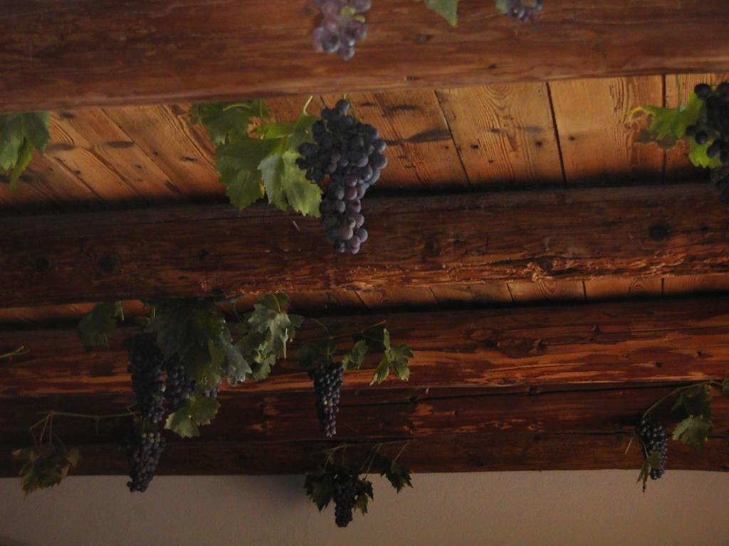 B&B Al Cristo Sant'Ambrogio di Valpolicella Luaran gambar